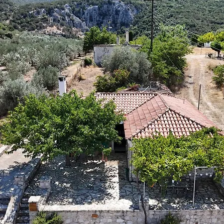 Olive Roots Διαμέρισμα *
