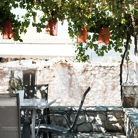 Olive Roots Apartamento