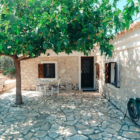 Apartmán Olive Roots *