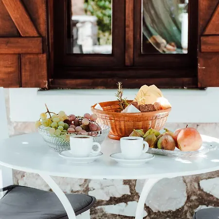 Olive Roots Apartamento