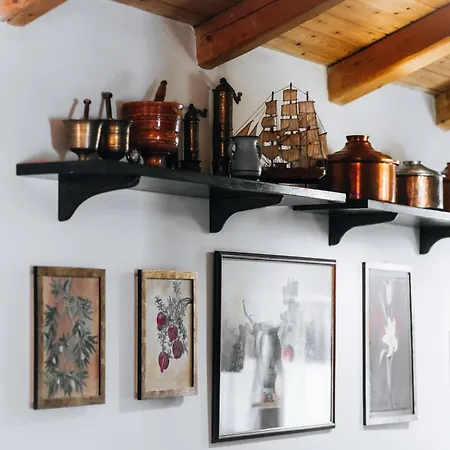 Apartamento Olive Roots