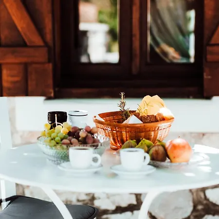 Apartment Olive Roots *