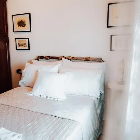 Apartamento Olive Roots