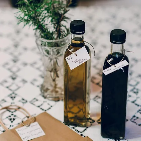 Apartamento Olive Roots