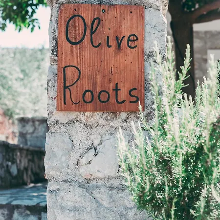 Olive Roots Apartment Pelei