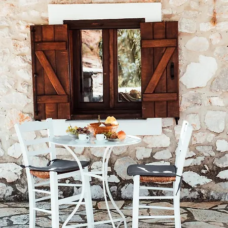 Apartamento Olive Roots