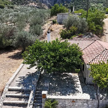 Olive Roots Apartmán