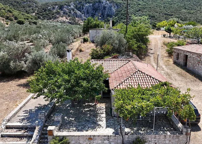 Olive Roots Apartamento *