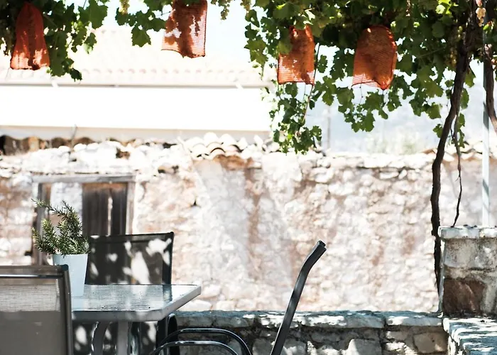 Olive Roots Apartamento