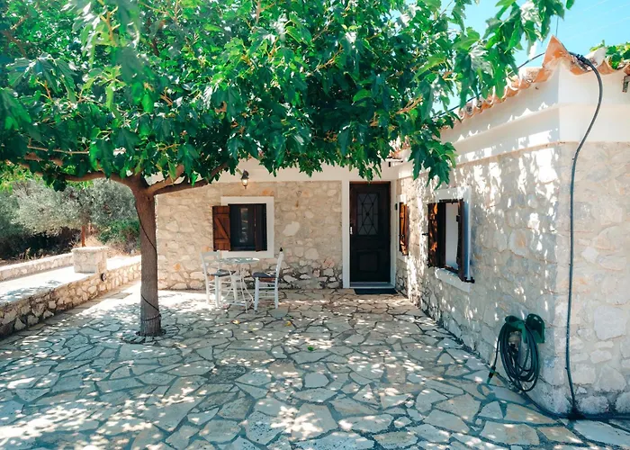 Apartamento Olive Roots *