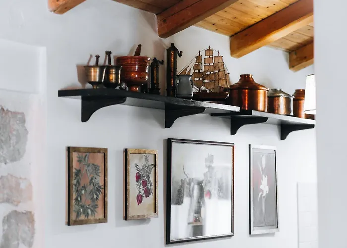 Apartamento Olive Roots