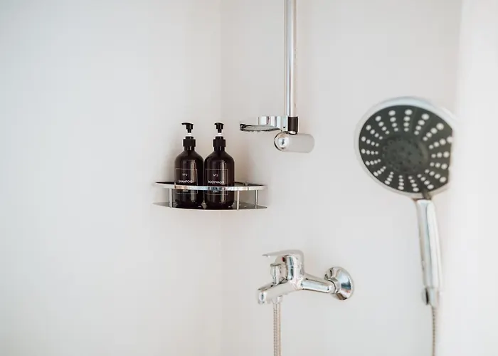 Apartamento Olive Roots