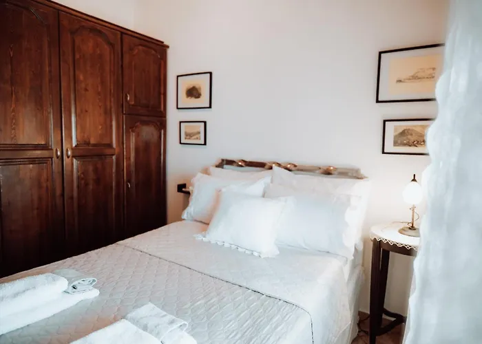 Apartamento Olive Roots