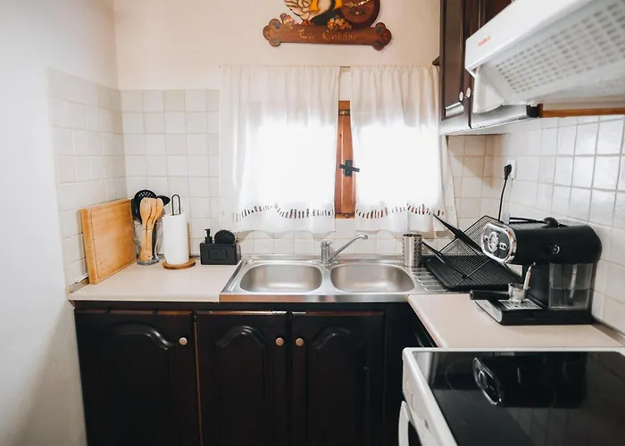 Apartamento Olive Roots