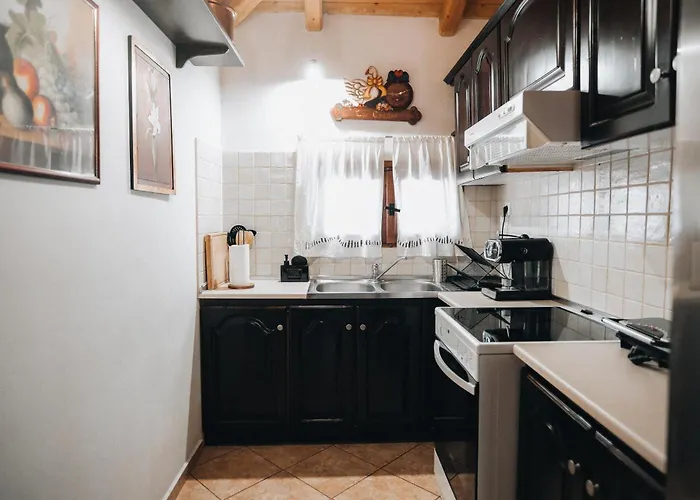 Olive Roots Apartamento