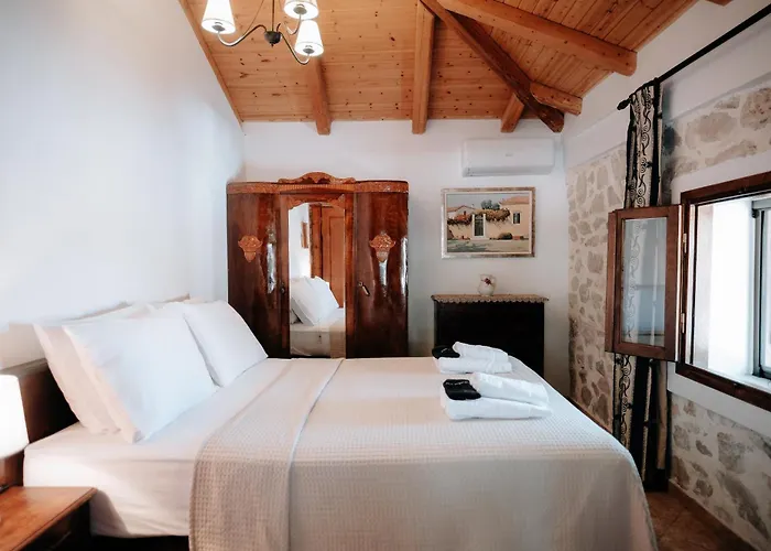 Apartamento Olive Roots