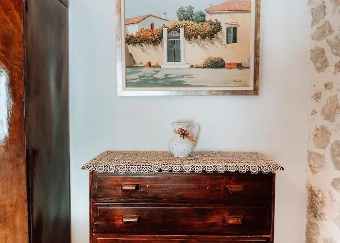 Apartamento Olive Roots