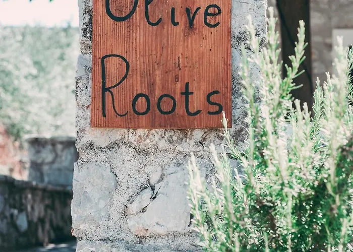 Olive Roots Apartamento Pelei
