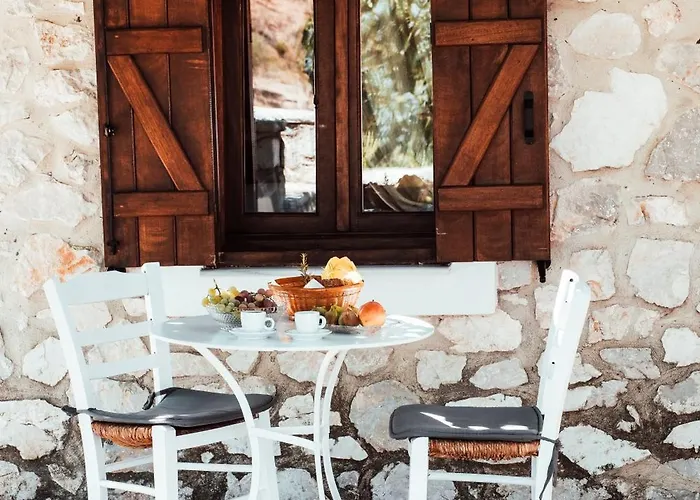 Apartamento Olive Roots