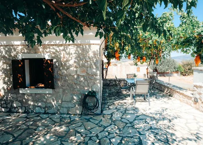 Apartamento Olive Roots *