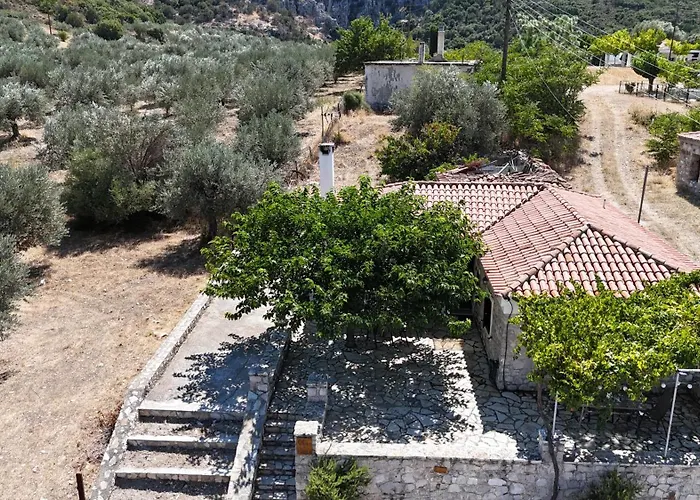 Olive Roots Apartament